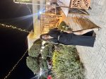 MAXI SKIRT RUCHED - Image 2